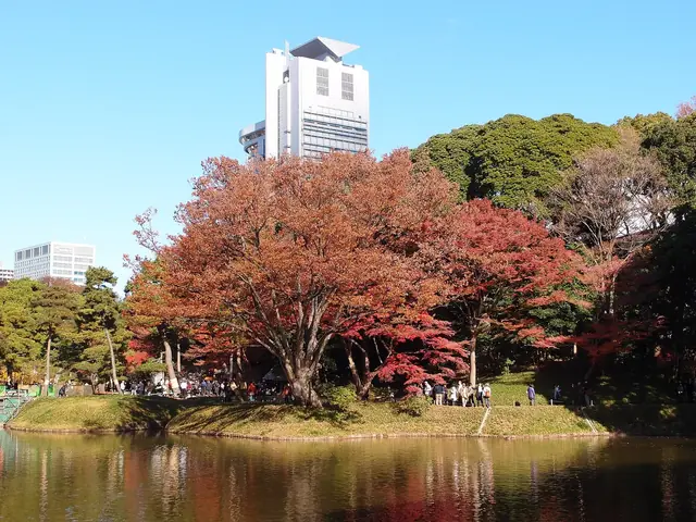 Red autumn trees around the pond at Koishikawa Korakuen garden