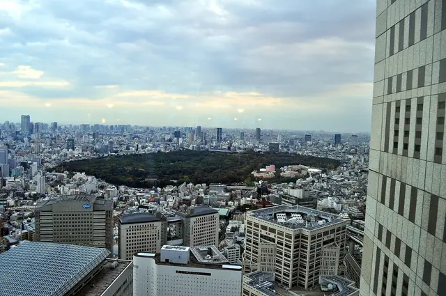 東京都庁から明治神宮の森を望む眺め