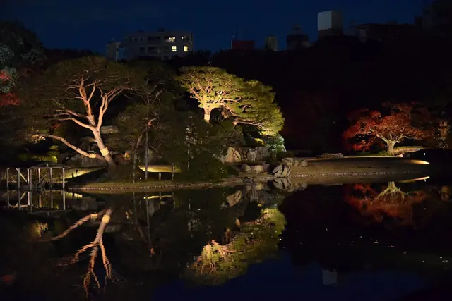 六義園の夜のライトアップで池に映る松と紅葉