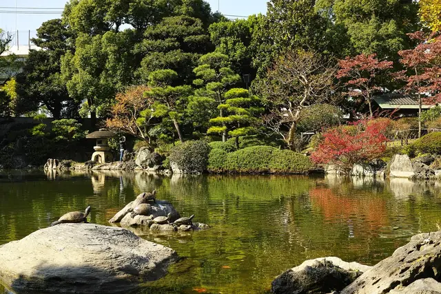 博物館から歩いてすぐの旧安田庭園の池と松