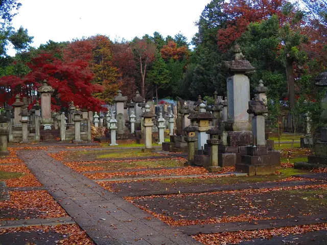 井伊家墓所の石灯籠と紅葉、散り敷く落ち葉