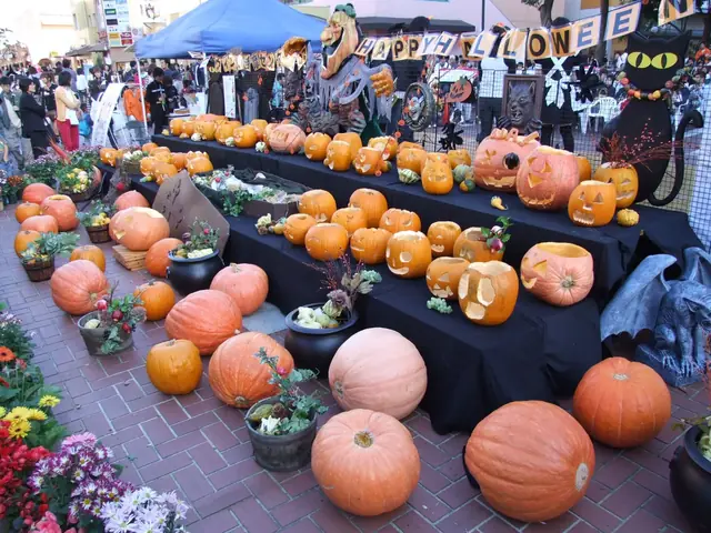 多摩センターのハロウィンイベントに並ぶカボチャと秋の花