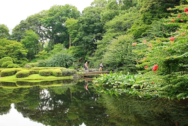 東御苑の二の丸庭園の池と刈り込まれた植え込み