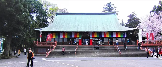 桜が咲く川越・喜多院の境内と堂宇