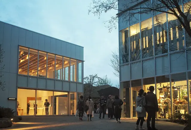 The lit glass buildings of Daikanyama T-Site at dusk