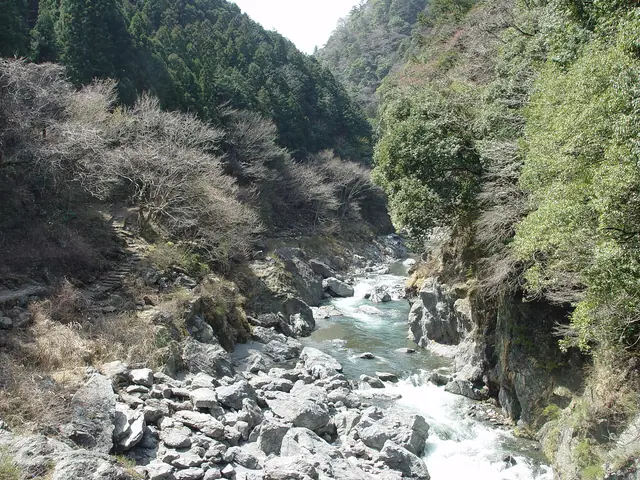 多摩川沿いに巨岩と岩壁が続く鳩ノ巣渓谷