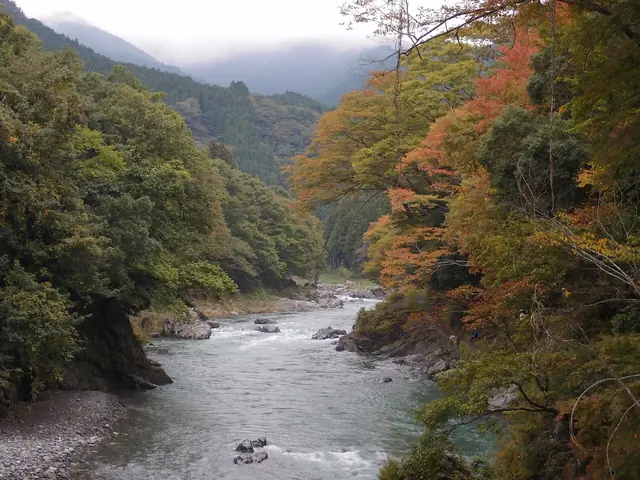 紅葉に色づく御岳渓谷の多摩川