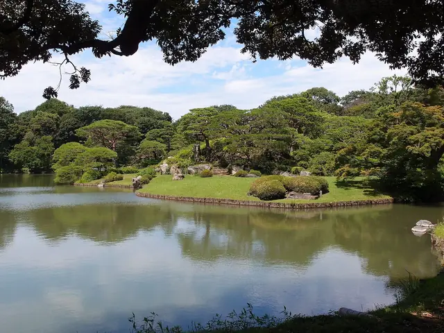 松の枝越しに見る六義園の池の中島