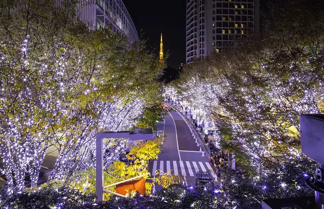 冬のイルミネーションに包まれたけやき坂と奥に見える東京タワー