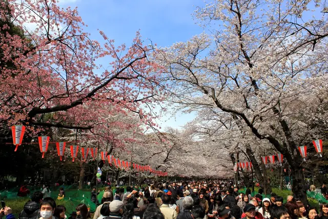 提灯と桜の下で花見客でにぎわう上野公園