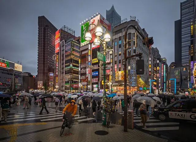 雨の夕方、靖国通りを渡って歌舞伎町のネオン街へ向かう人々