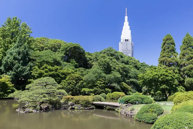 新宿御苑の池と橋、木々の上にそびえるNTTドコモ代々木ビル