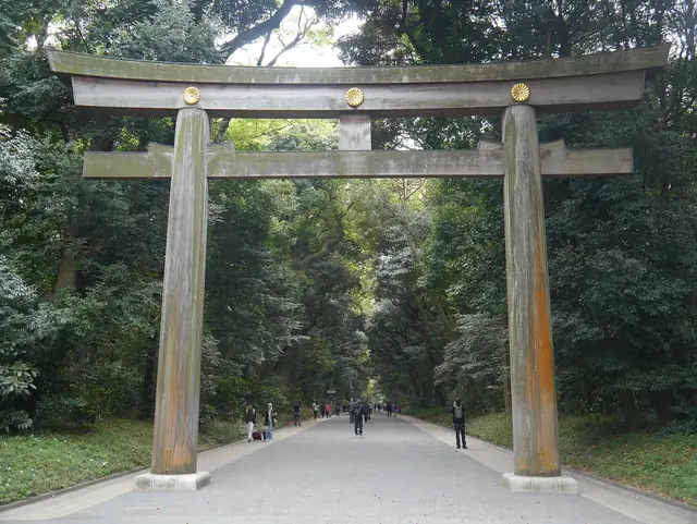 明治神宮の森の参道に立つ木造の大鳥居