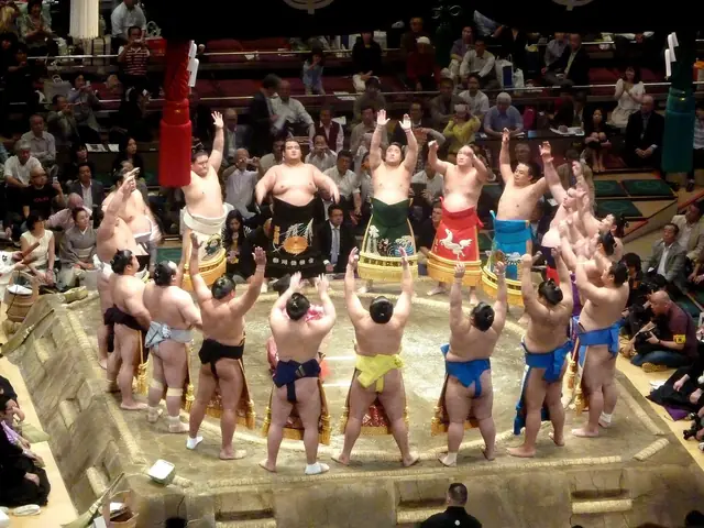 五月場所で化粧まわしを着けた幕内力士が土俵入りを行う