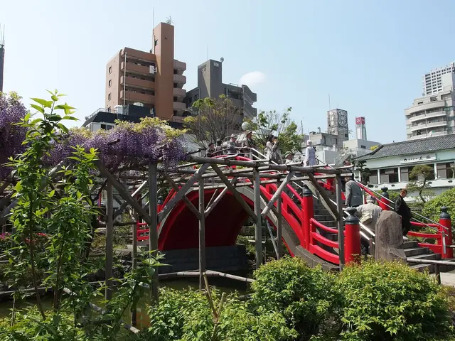 亀戸天神社の藤棚と朱色の太鼓橋