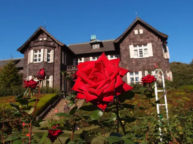 Red roses in front of the stone Western-style mansion at Kyu-Furukawa Gardens in Kita ward