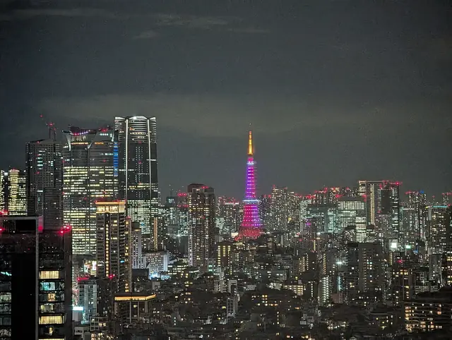 バレンタインにピンクに染まった東京タワーと夜景
