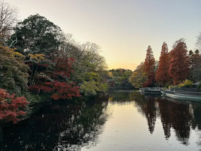 夕暮れの吉祥寺・井の頭公園の池と紅葉